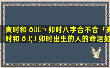 寅时和 🐬 卯时八字合不合「寅时和 🦄 卯时出生的人的命运如何」